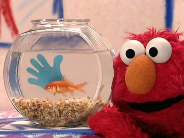 elmos balığıyla konuşuyor